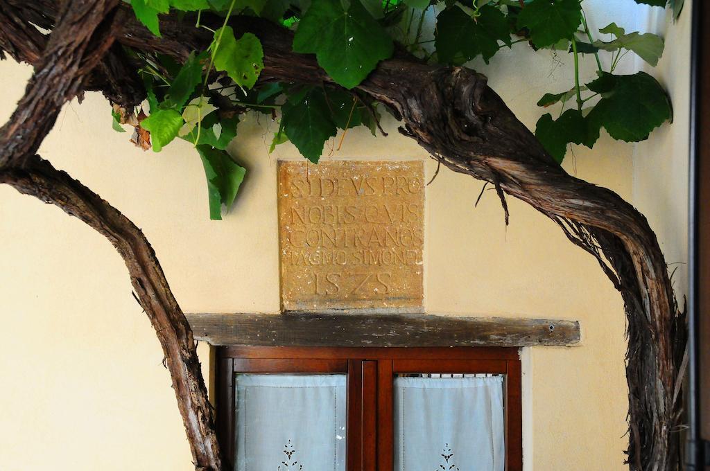 B&B Camere La Vite Pienza Exterior photo