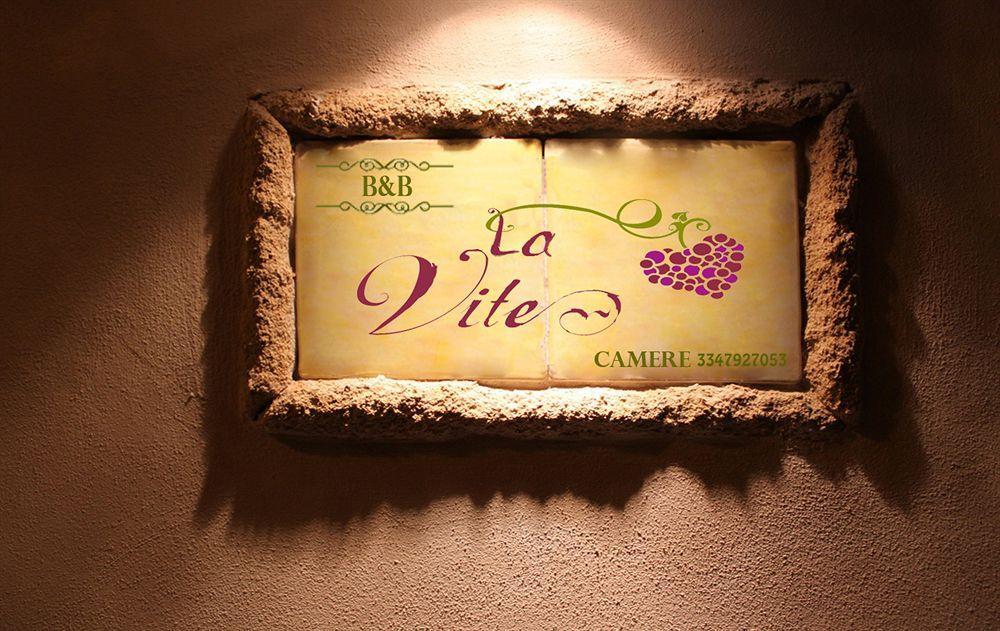 B&B Camere La Vite Pienza Exterior photo