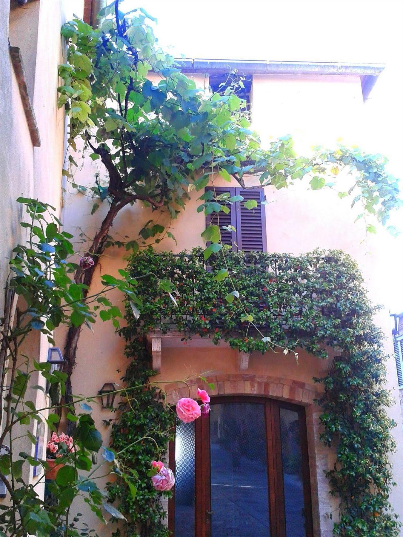 B&B Camere La Vite Pienza Exterior photo
